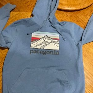 Patagonia Mens Medium regular fit hoodie